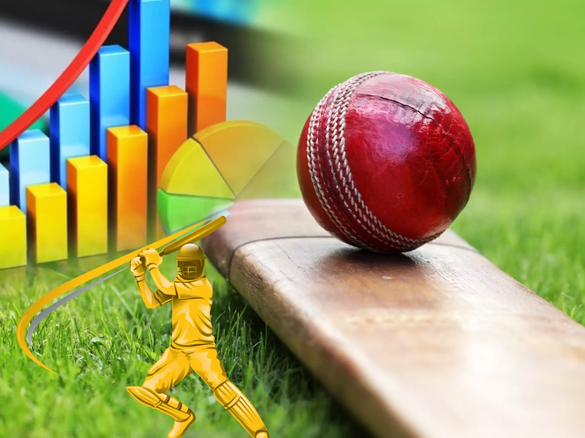 How To Earn Money From Cricket Betting in India: Tips From Experts