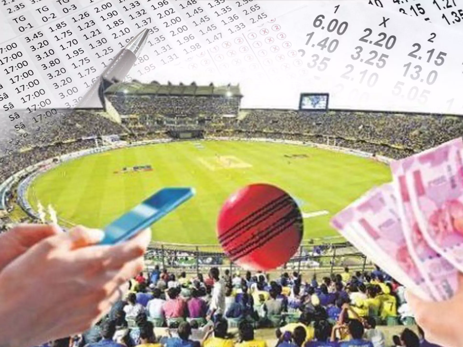 Bet on cricket only amount of money that you are ready to lose.