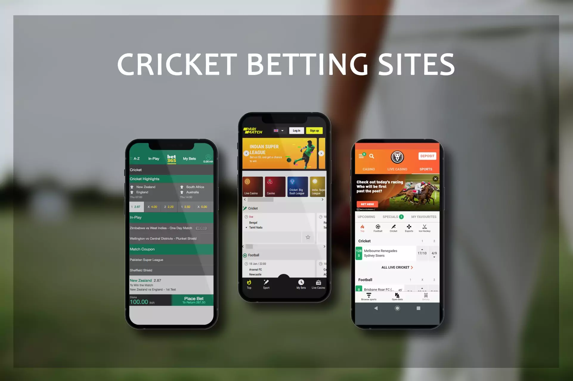 Choose the best site to bet on cricket in India.