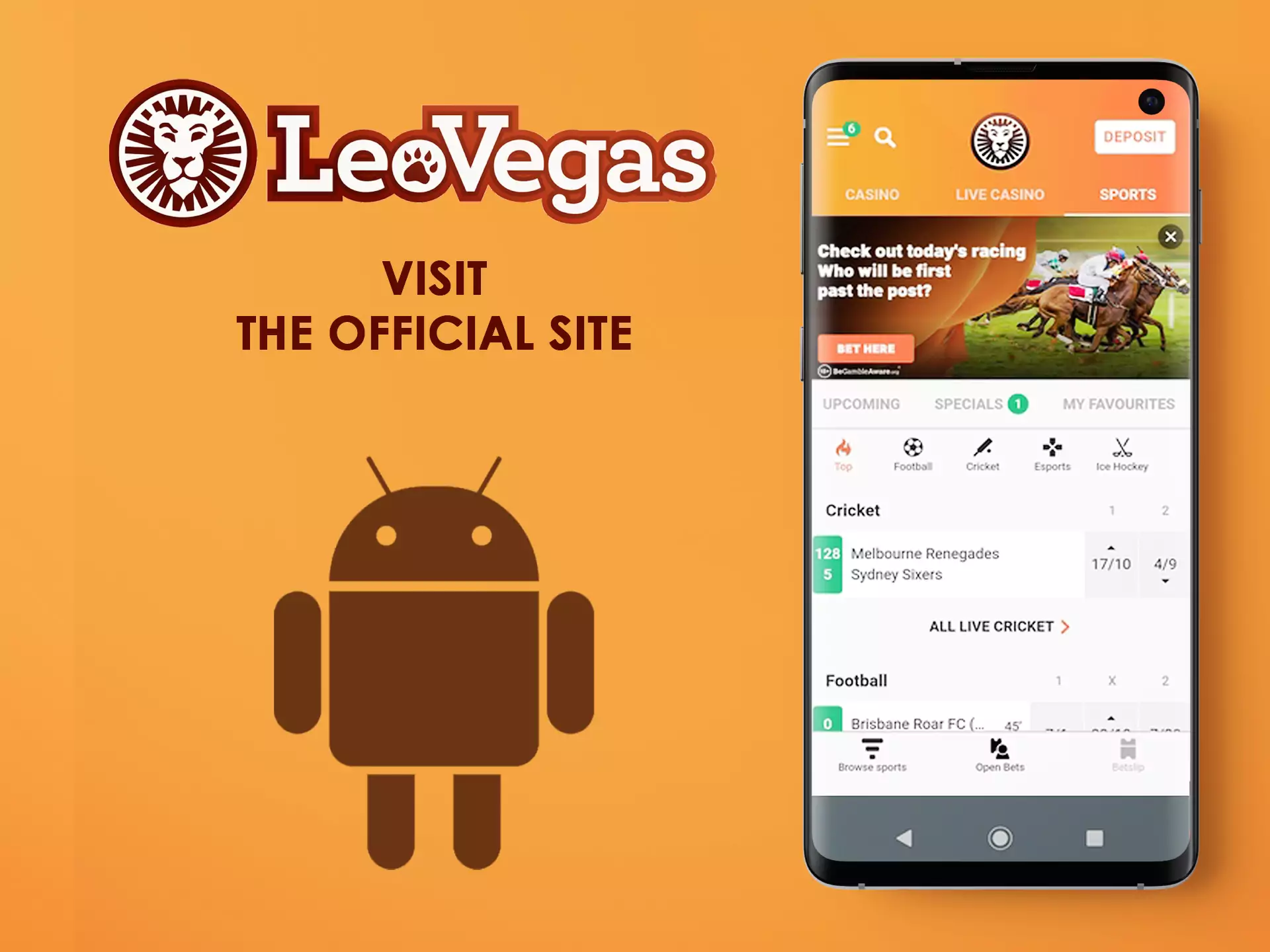 Open the official page of LeoVegas.