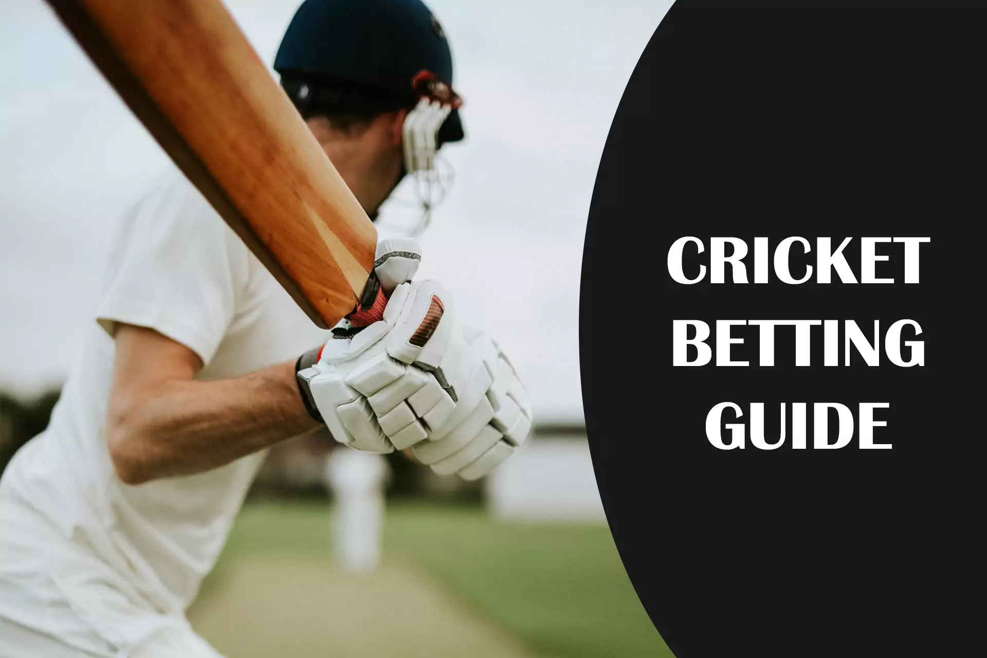 We have prepared for you articles on cricket betting.