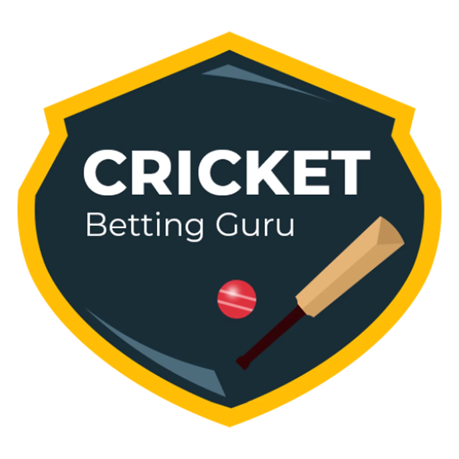 Our website has the latest information on cricket betting in India.