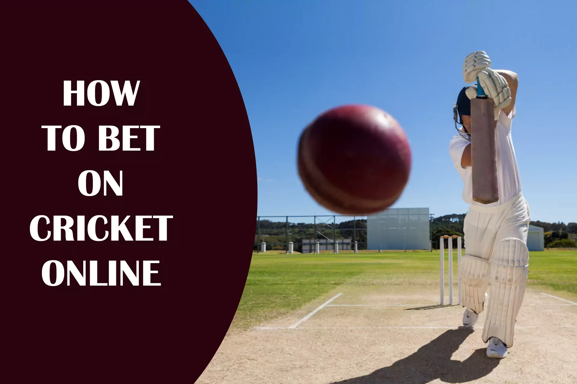 Learn how to correctly bet on cricket online.
