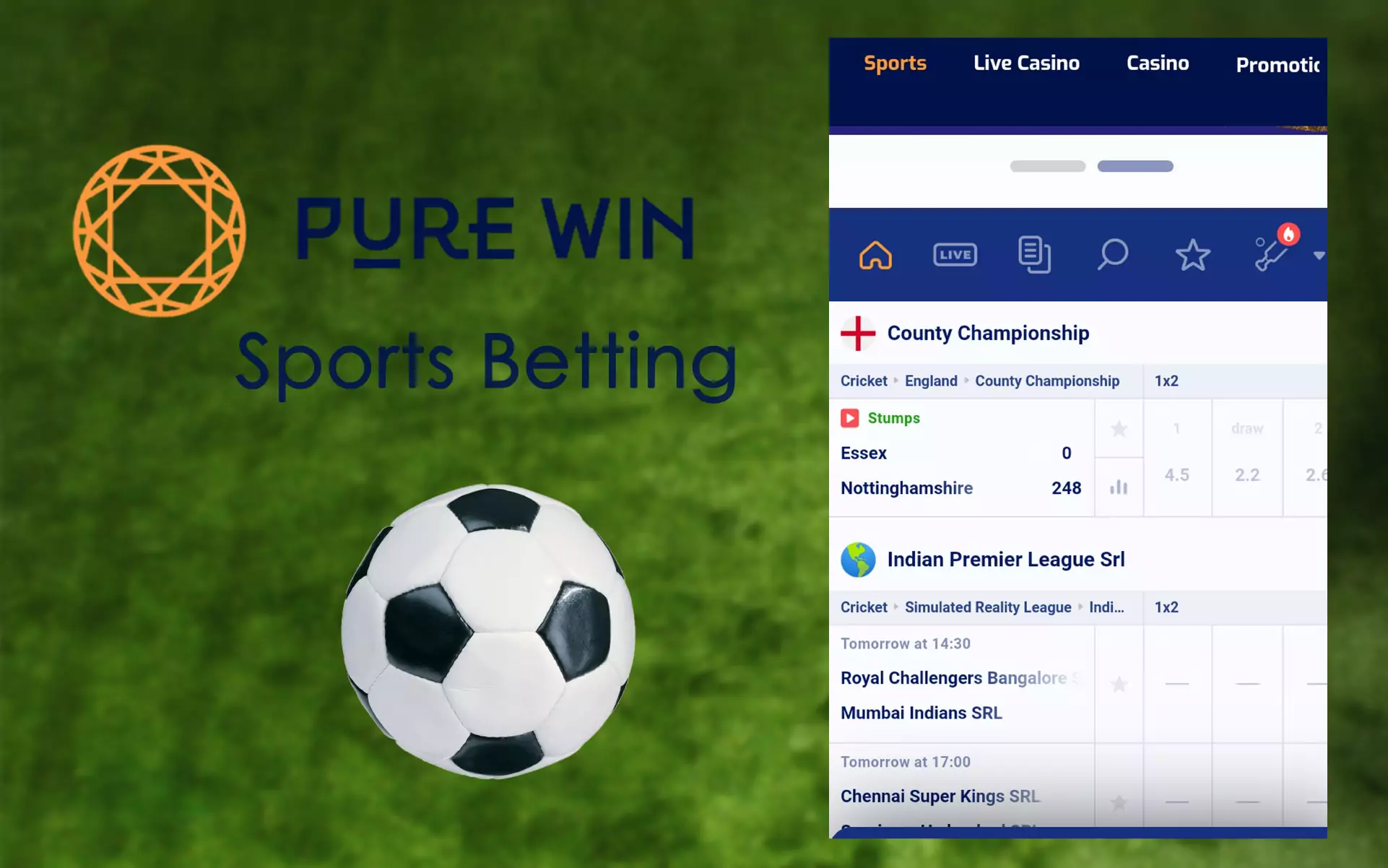 In Pure Win, users can bet on many kinds of sports.