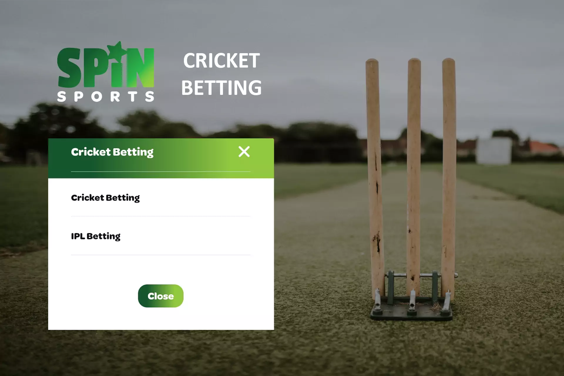 Cricket betting is the main direction of the Indian version of Spin Sports.