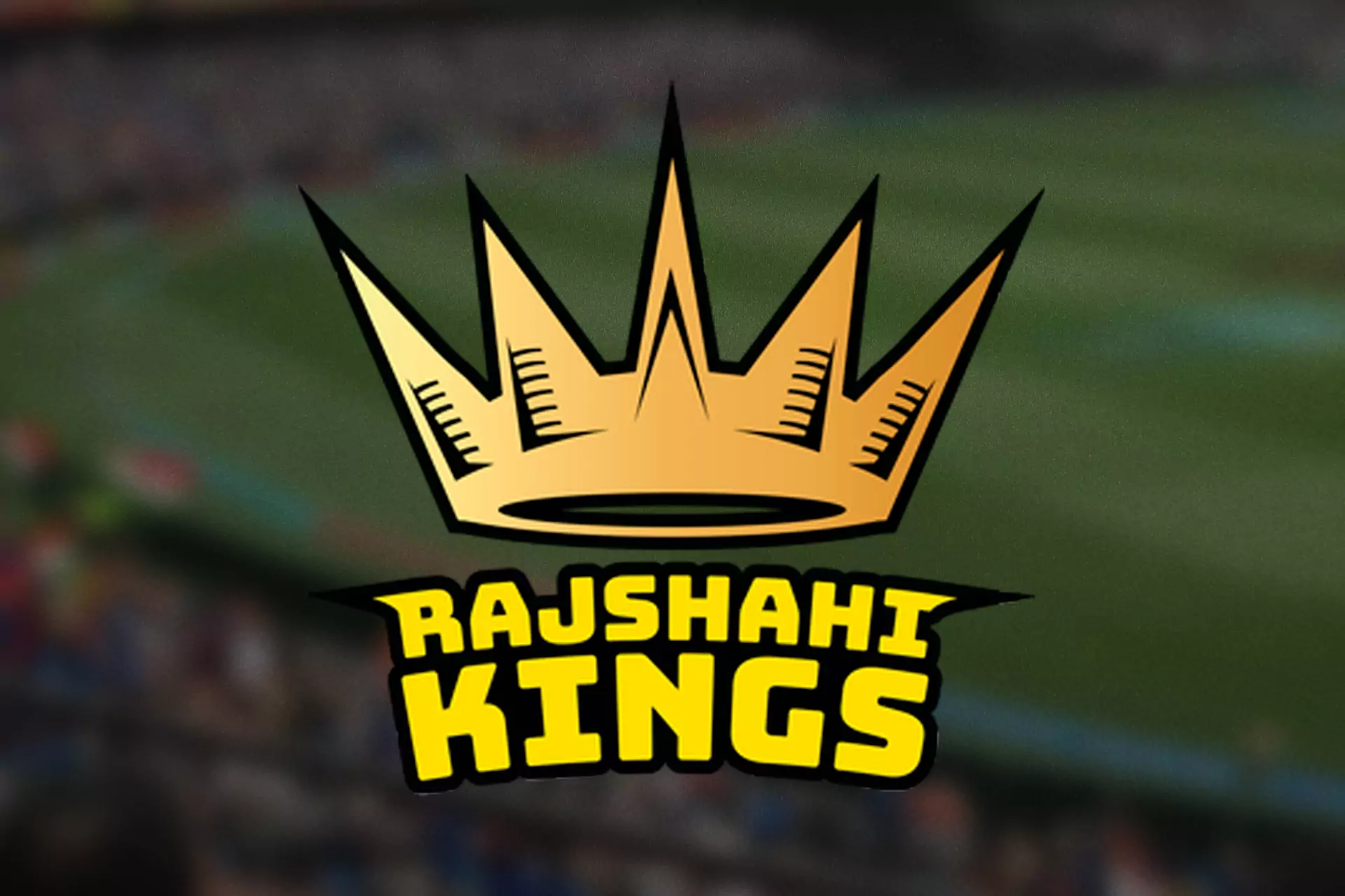 The Rajshahi Kings team has great players and a high reputation among cricket fans.