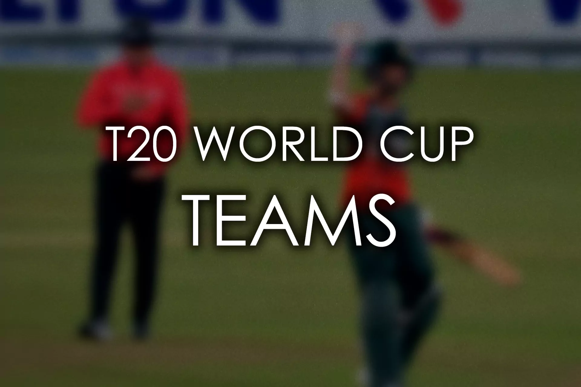 In the T20 Cricket World Cup, there are 16 teams from all over the world take part.