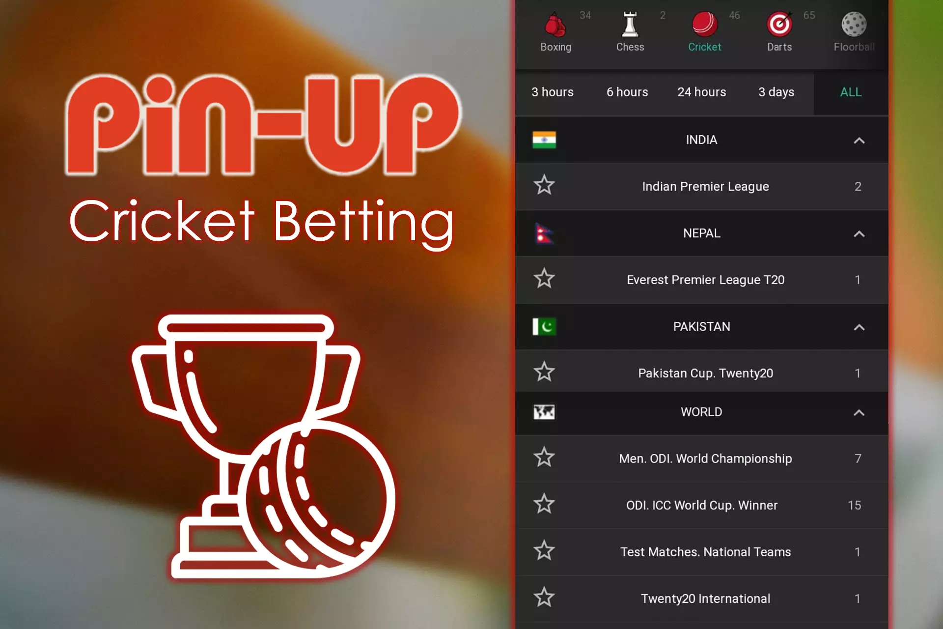क्रिकेट अनुभाग Pin-Up ऐप में सट्टेबाजी के लिए भी उपलब्ध है।
