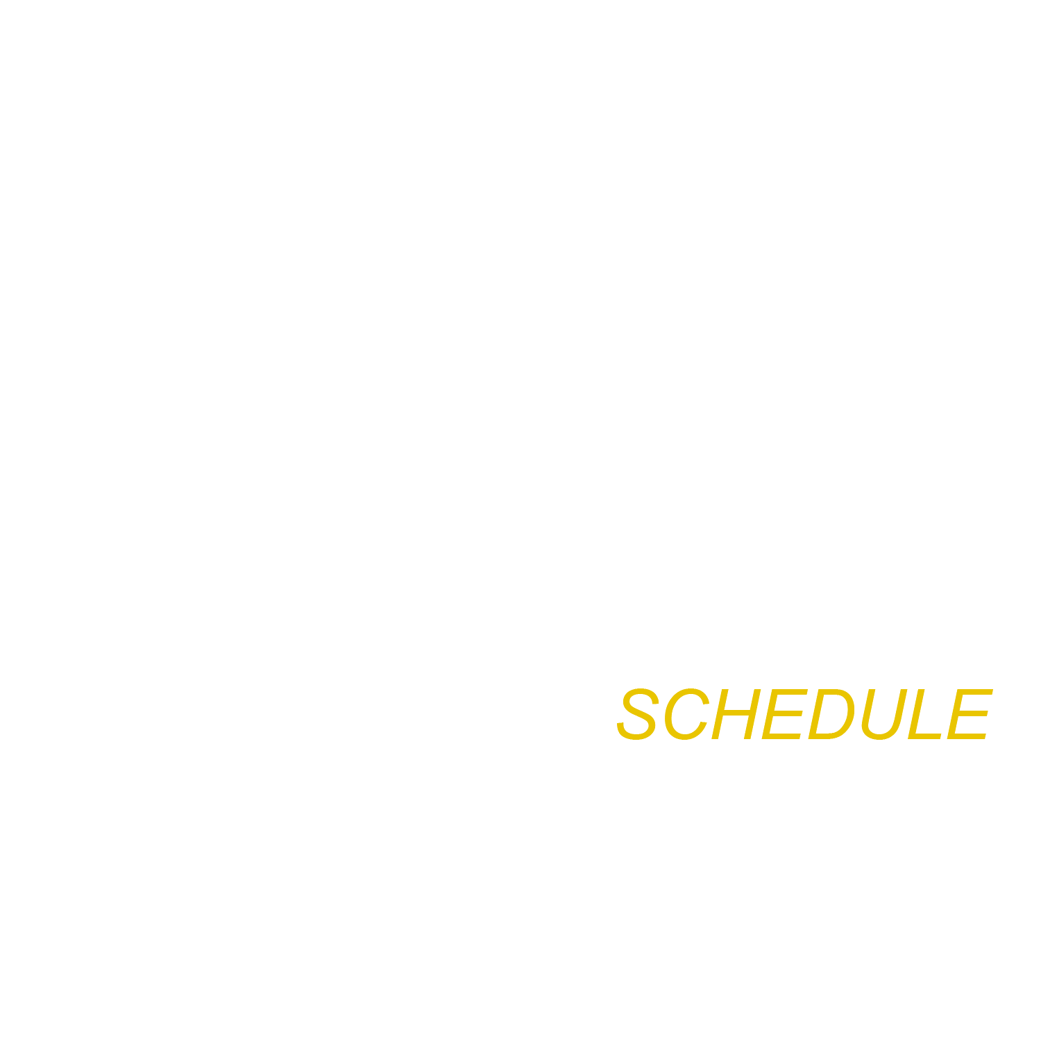 In this article, we share the updated IPL 2022 schedule and player list.