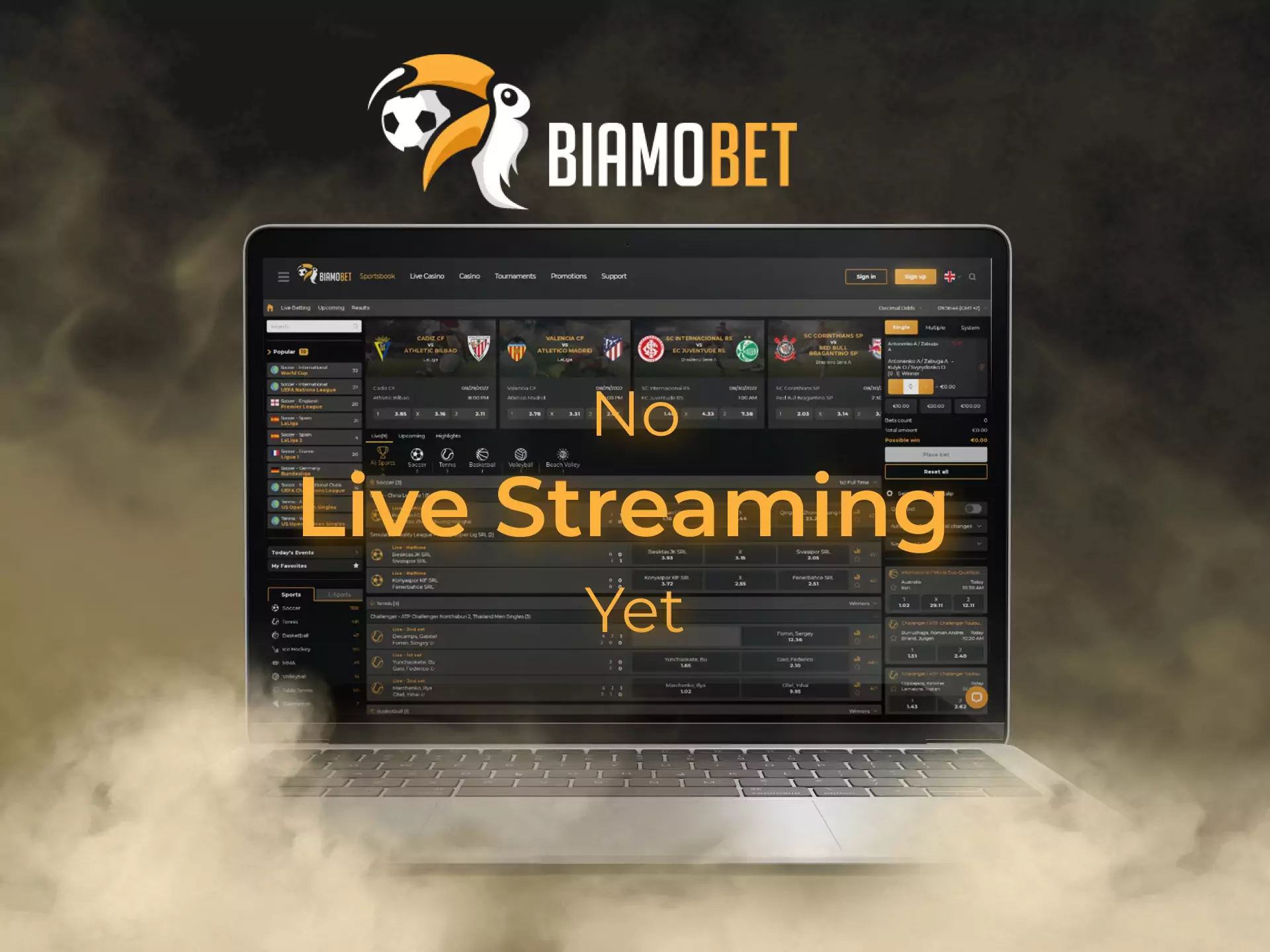 Unfortunately, you can't watch online streams on the Biamobet website.