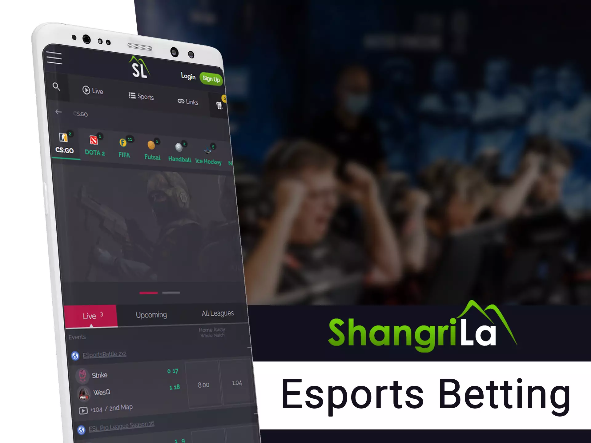 Best Online Betting App In India Hopes and Dreams