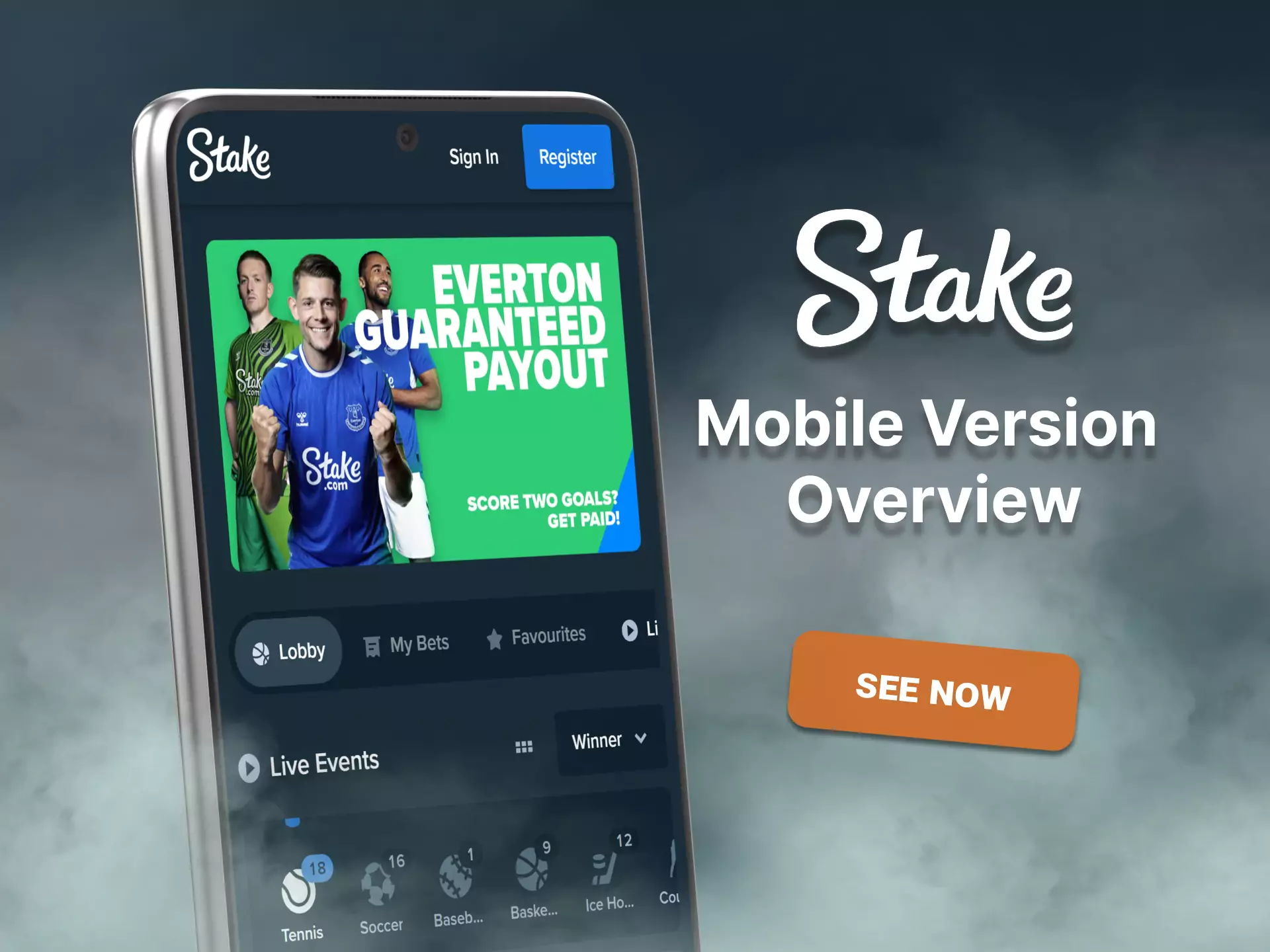 Read the review for the mobile version Stake.com.