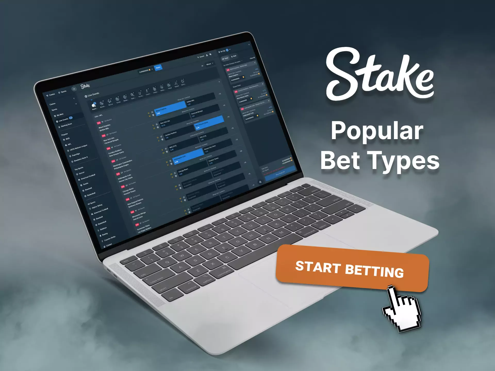 On the Stake website, there are different bet types available for players.