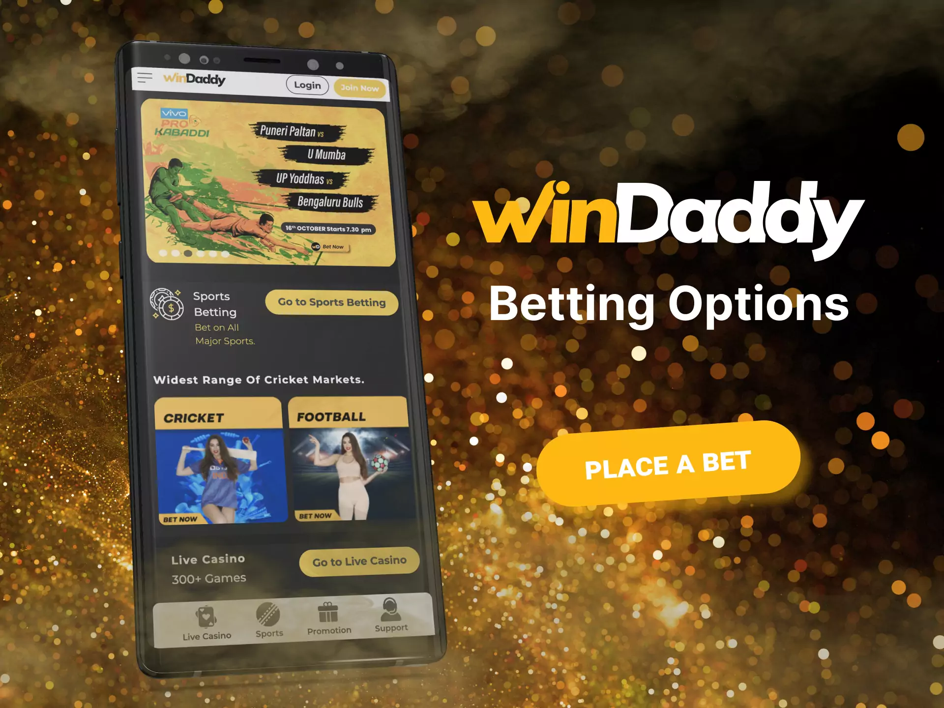 Bet on many sports at Windaddy and enjoy the game.