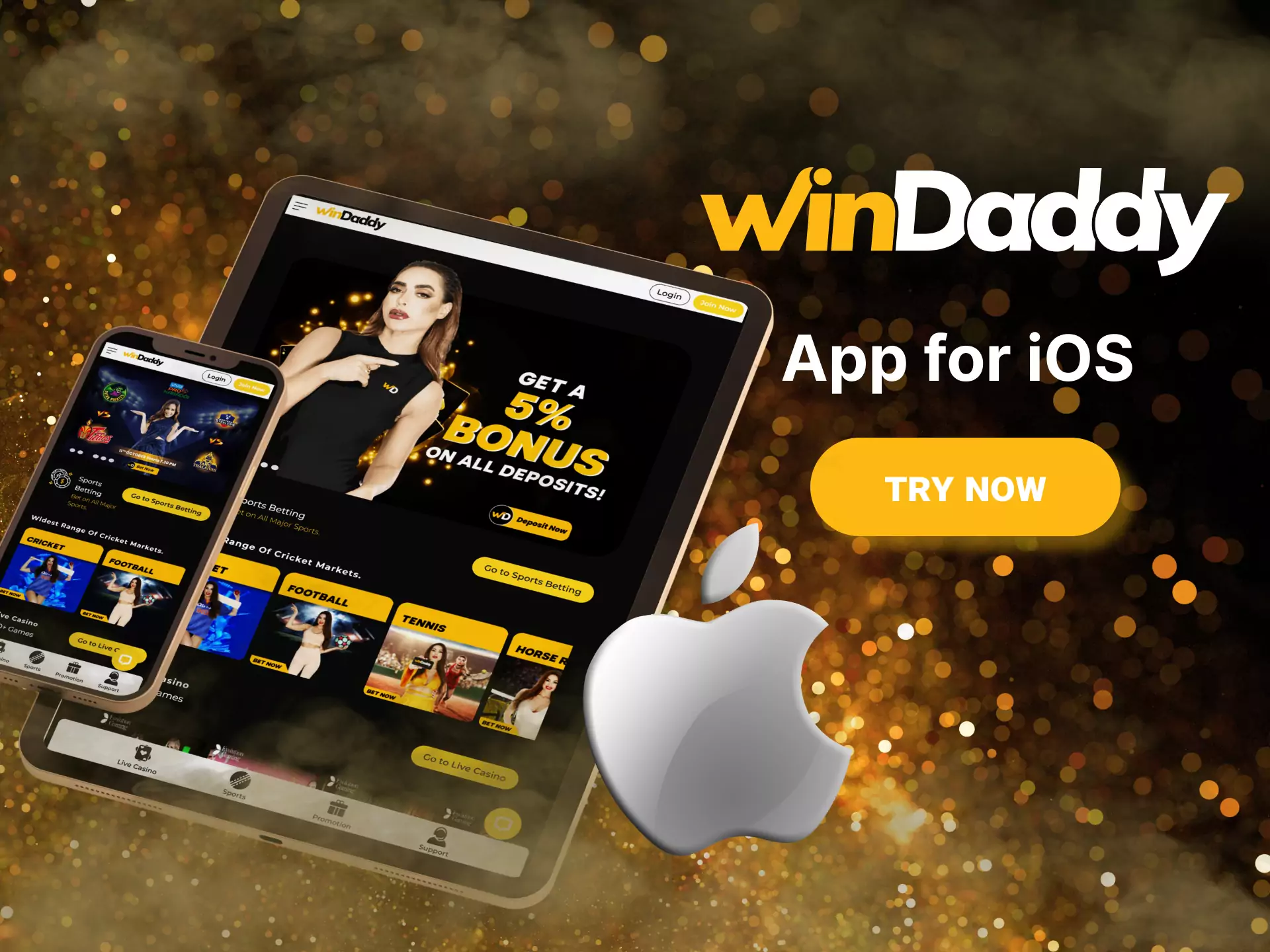 Enjoy a convenient mobile version of Windaddy on iOS devices.