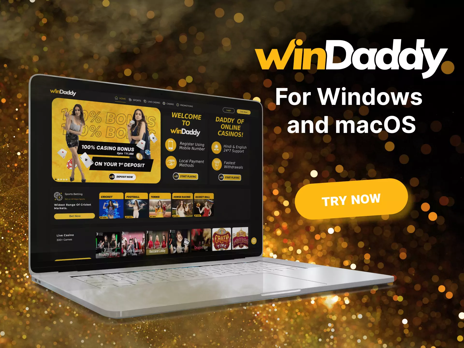 Use the Windaddy website through the browser of your Windows and macOS devices.