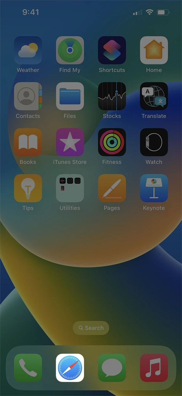 Open the Safari browser on your iOS device.