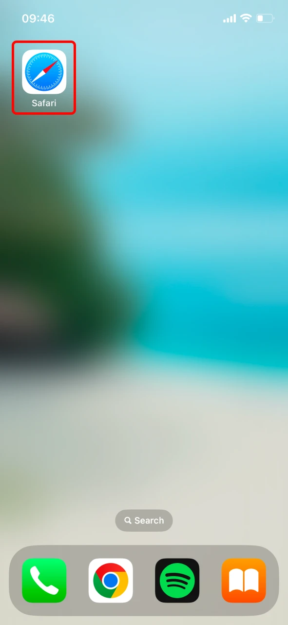 Open Safari browser to install the PWA version of Leon Bet on iOS.