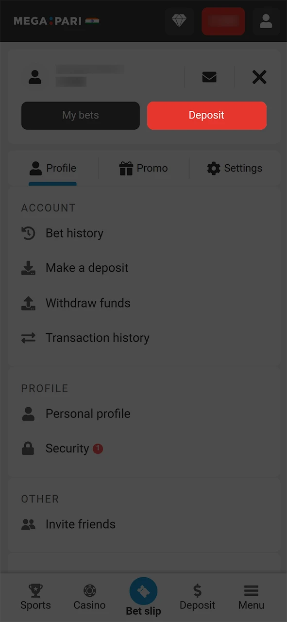 Go to the Megapari deposit section.