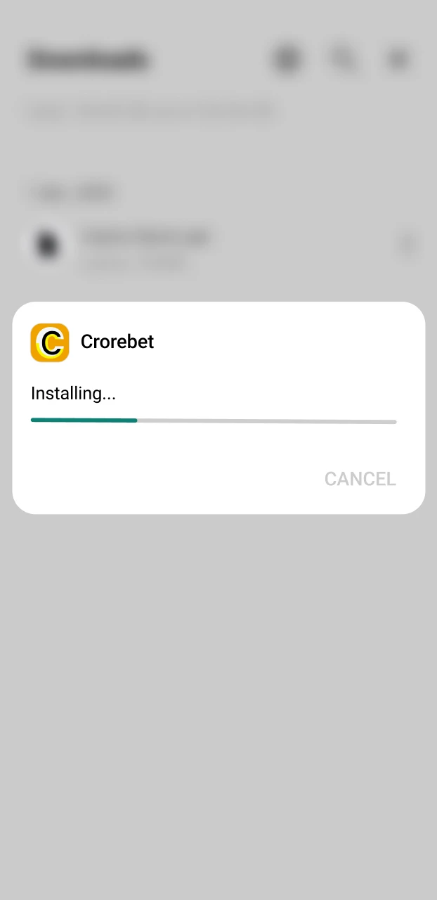 How to confirm the installation and grant necessary permissions for an IPL betting APK on Android.